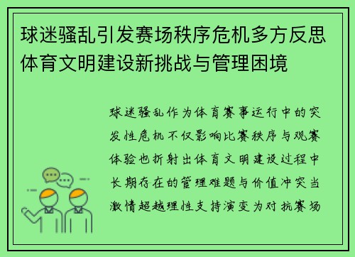 球迷骚乱引发赛场秩序危机多方反思体育文明建设新挑战与管理困境